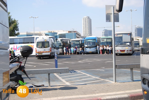 blomfeiled 803 (2).JPG